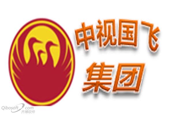 中视国飞有限公司