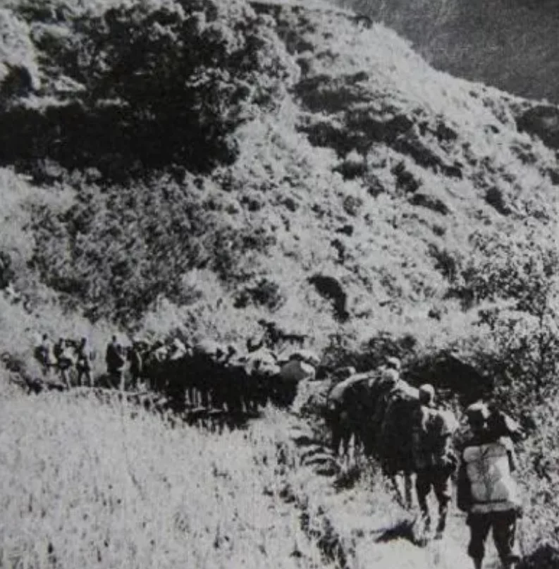 陈谢兵团”是1947年挺进大别山时，中原野战军的一只独立兵团