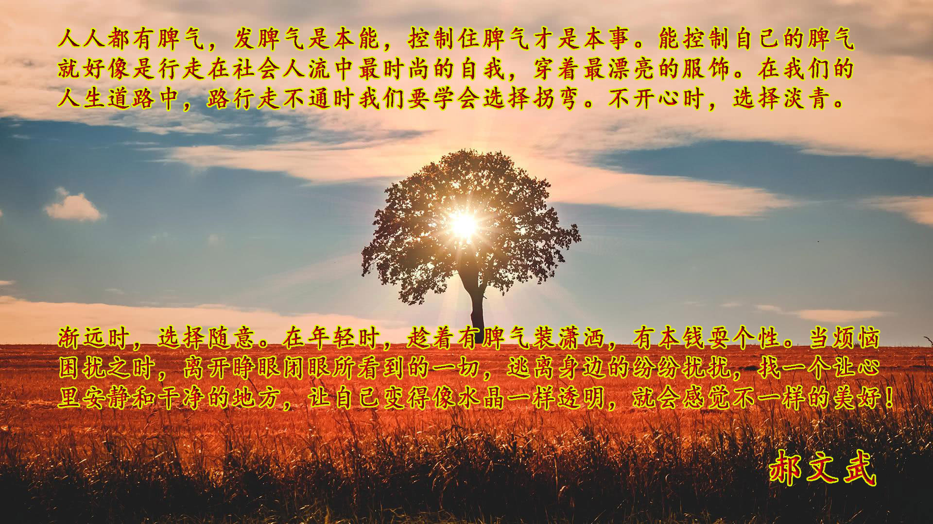 郝文武情感输出第五十一季：社会不能被学历绑架，带错节奏，带歪方向